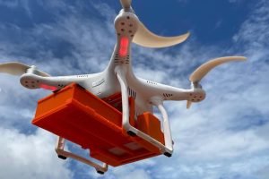 Solução Econômica para Pequenos Produtores: Uso de Drones para Controle Biológico no Plano Safra 2024-2025
