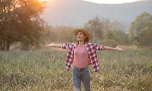 Asian female farmer see growth of pineapple in farm, Young pretty farmer woman standing on farmland with arms raised up joyful elated happiness. Organic farmer checking, agriculture business concept