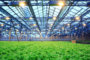 CNA promove 3º Seminário Nacional de Tributação do Agronegócio