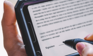 Certificados eletrônicos de produtos de origem animal superam 100 mil solicitações em menos de um ano