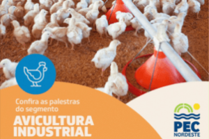 PEC Nordeste 2025: Especial Avicultura Industrial