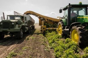 SEBRAE Ceará traz inovação para o Agronegócio