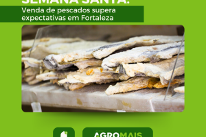 Vendas de Pescados na Semana Santa de Fortaleza Surpreendem o Comércio