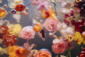 Flores em alta: Dia de Finados pode impulsionar vendas em até 7%