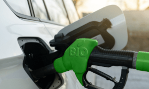 Brasil amplia mistura de biocombustíveis para reduzir emissões e fortalecer segurança energética