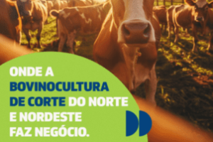 PEC Nordeste 2025: Especial Bovinocultura de Corte