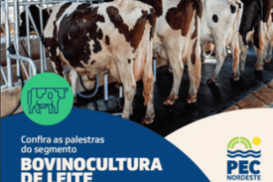 PEC Nordeste 2025: Especial Bovinocultura de Leite