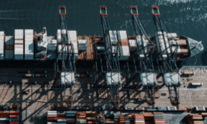 Brasil negocia abertura de mercado para pescados e subprodutos do etanol com a China.