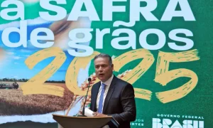 Infraestrutura do agro recebe R$ 4,5 bilhões para modernização e redução de custos logísticos no escoamento da safra 2024/2025.