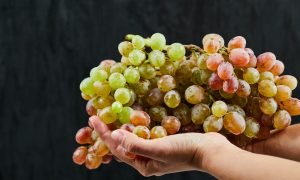 A bunch of fresh grapes in hand on black background. High quality photo