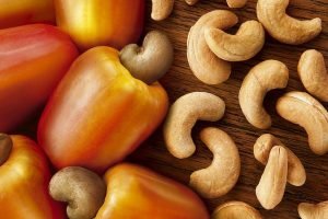 Ocara, o supermercado do Ceará, com diversidade agrícola