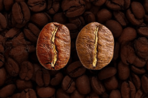 Café arábica e robusta caem na abertura da semana com foco na colheita e no El Niño