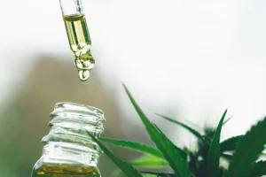 A Anvisa discute nova regulamentação para produção de cannabis medicinal com controle rigoroso de cultivo e rastreabilidade de insumos.