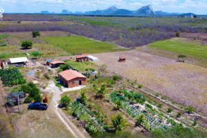 Produtora rural em Quixadá com cabras no curral