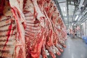 Egito Autoriza Importação de Carne Bovina com Osso do Brasil