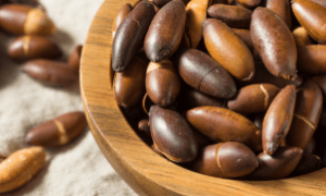 Castanha de baru aprovada para o mercado europeu