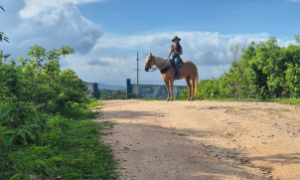 A cavalgada é uma experiência que une aventura e tradição no agroturismo.
