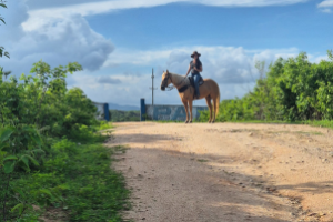 Cavalgada no litoral cearense