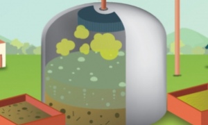 Especialistas da Embrapa discutem o uso do biodigestor na Ceasa-CE para promover a sustentabilidade.