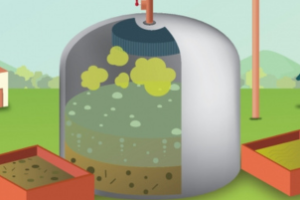 Reunião na Ceasa-CE sobre biodigestores e soluções sustentáveis para o agronegócio.