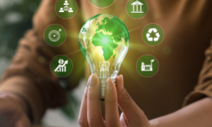 O impacto positivo das certificações sustentáveis na agricultura.