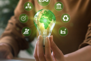 Plantações certificadas com práticas sustentáveis alinhadas ao ESG.