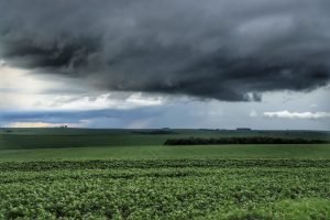 Retorno das chuvas no Sul e tempo seco no Centro-Oeste alteram ritmo da colheita e bases regionais.