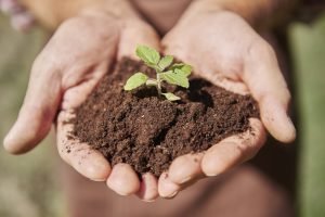 As Principais Empresas de Bioinsumos na Argentina