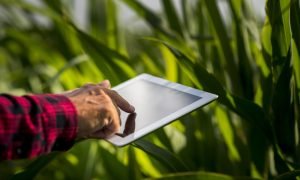 Tecnologias Rentáveis na Agricultura de Precisão