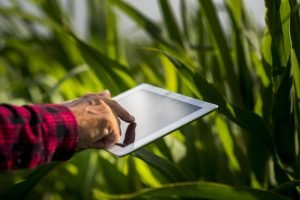 Tecnologias Rentáveis na Agricultura de Precisão