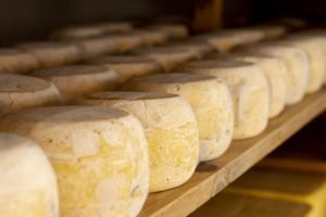 Concurso de Queijos Artesanais e Derivados Valoriza o Sabor e a Tradição Cearense na Expoece 2024