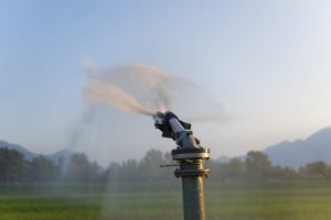 Faec e SDE estudam polos de irrigação no Cariri e Ibiapaba