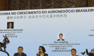 Diretora da CNA fala sobre exportações e inovação no agro durante evento em Shangai