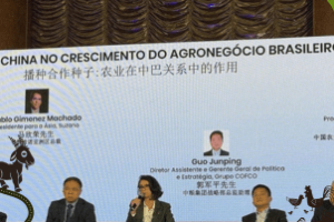 Fernanda Maciel no Summit Brazil-China 2025