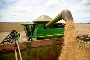 Estiagem no RS compromete produção de soja