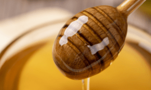 Vencedores do Concurso de Melhor Mel no auditório da Faec

