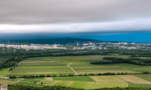 Evento reuniu especialistas do agro mundial para debater os caminhos do setor.

