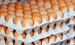 A alta no preço dos ovos impulsionou o contrabando nas fronteiras