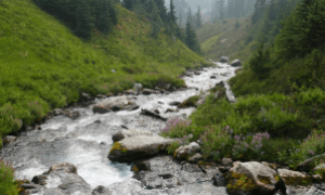 Sistema de irrigação instalado com tecnologia israelense no Irã