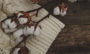 Cotton flower on the sweater