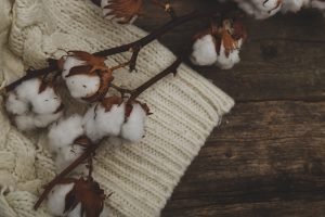Cotton flower on the sweater