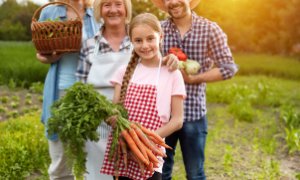 Pequenos produtores aumentam a eficiência com inovação e acesso a crédito.
