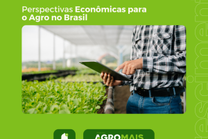 Perspectivas Econômicas para o Brasil: Crescimento, Inflação e Taxa de Juros em Foco