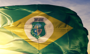 Colheitadeira em campo ilustra crescimento do setor agropecuário em 2024.