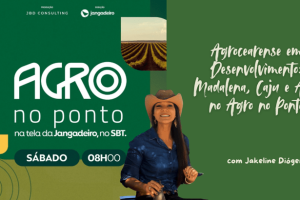 Produtor e técnica observando pomar de cajueiro anão precoce em Madalena, simbolizando o agrocearense em desenvolvimento.