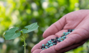 Projeções mostram crescimento da demanda por fertilizantes até 2030