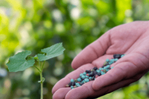 Projeções de aumento da demanda por fertilizantes no Brasil até 2030