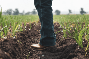 Executivo rural analisa dados financeiros sobre os desafios do agronegócio