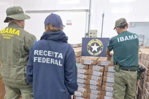 Ibama apreende 19 toneladas de ovas de peixe avaliadas em R$ 15,7 milhões no Porto do Pecém