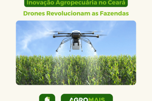Inovação Agropecuária no Ceará: Drones Revolucionam a Gestão de Fazendas